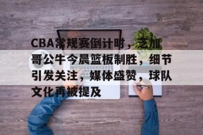 英雄联盟有礼投注-CBA常规赛倒计时，芝加哥公牛今晨篮板制胜，细节引发关注，媒体盛赞，球队文化再被提及的简单介绍